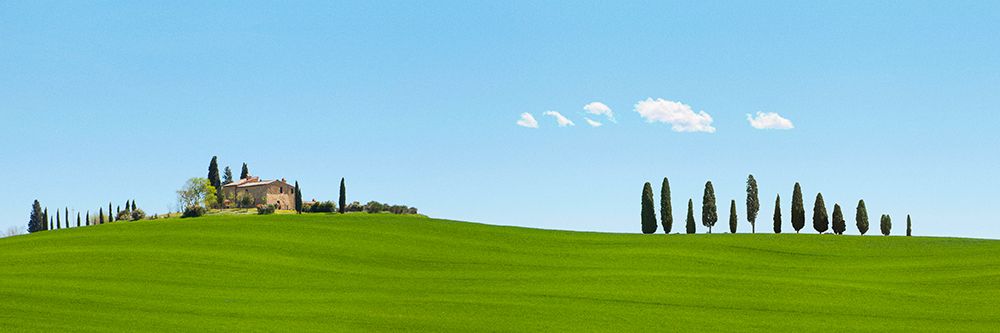Strada del Brunello-Tuscany (detail) art print by Pangea Images for $57.95 CAD