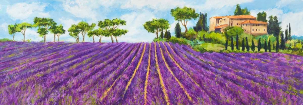 Campagna provenzale art print by Massimo Germani for $57.95 CAD