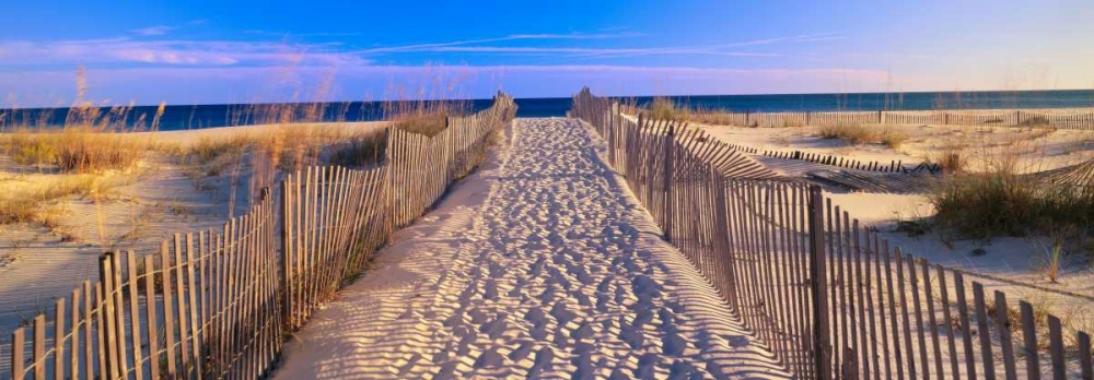 Pathway to the Beach, Florida, USA art print by Joseph Sohm for $57.95 CAD