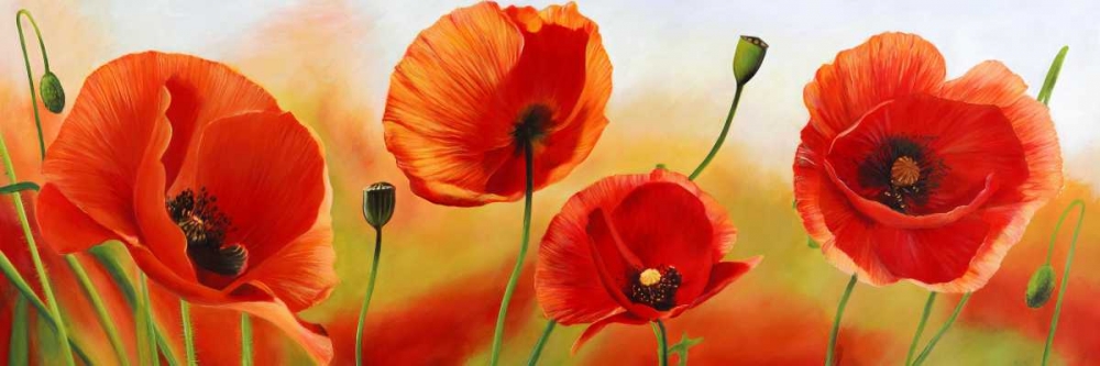 Poppies in the wind art print by Luca Villa for $57.95 CAD