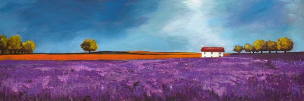Field of lavender art print by Philip Bloom for $57.95 CAD