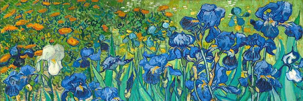 Irises (detail) art print by Vincent van Gogh for $57.95 CAD