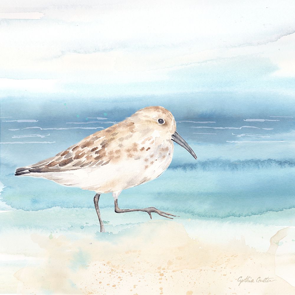 By the Seashore XIII art print by Cynthia Coulter for $57.95 CAD