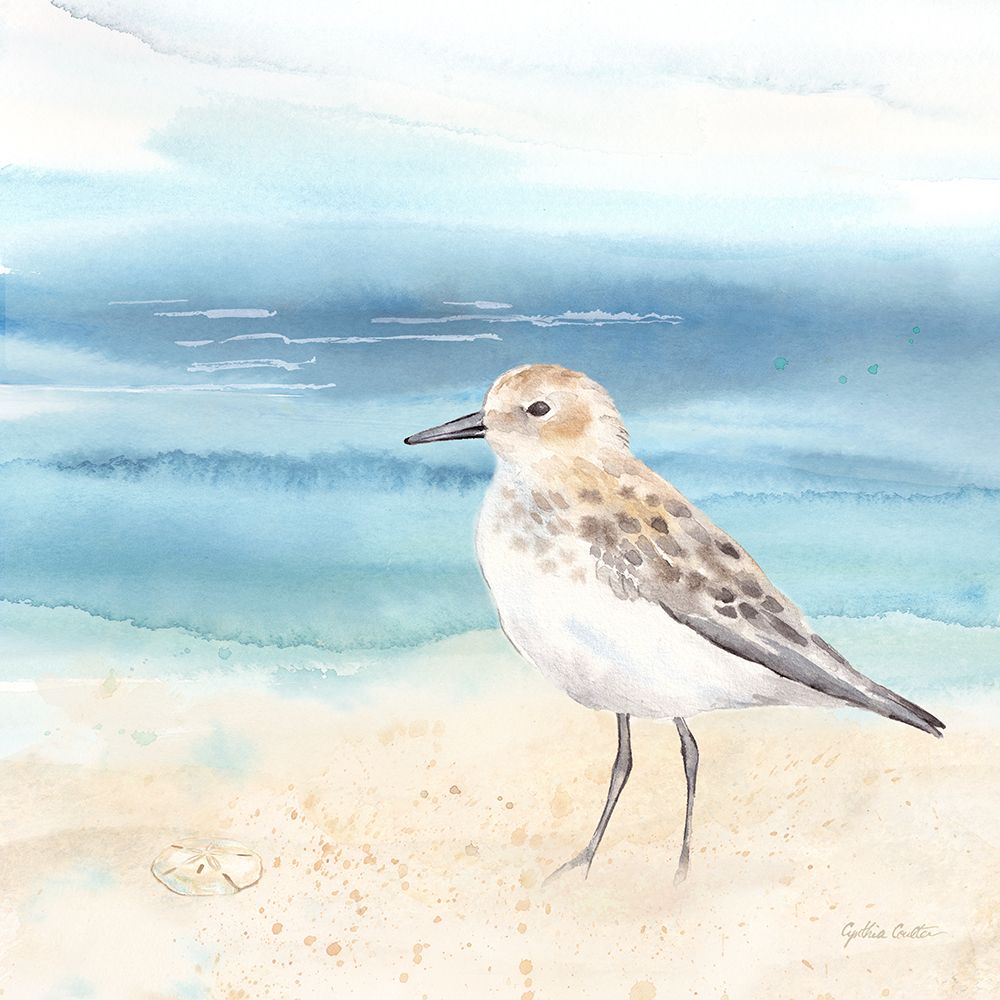 By the Seashore XIV art print by Cynthia Coulter for $57.95 CAD