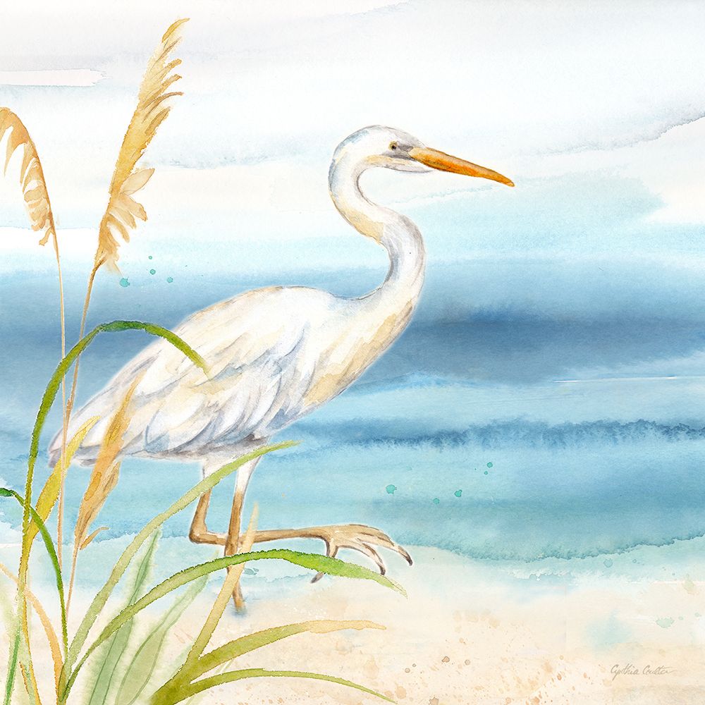 By the Seashore XV art print by Cynthia Coulter for $57.95 CAD
