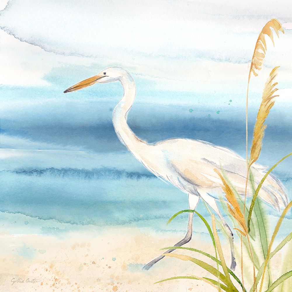 By the Seashore XVI art print by Cynthia Coulter for $57.95 CAD