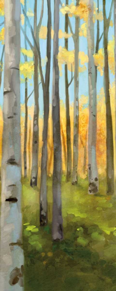 Birch Woods Panel I  art print by Vittorio Milan for $57.95 CAD