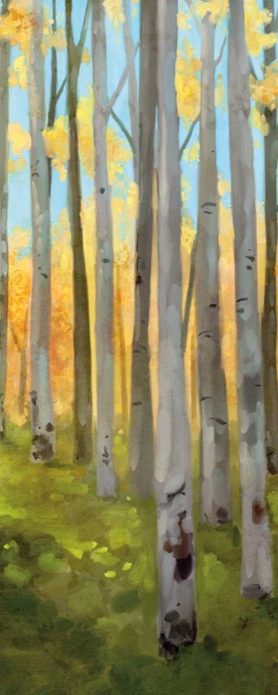 Birch Woods Panel II art print by Vittorio Milan for $57.95 CAD