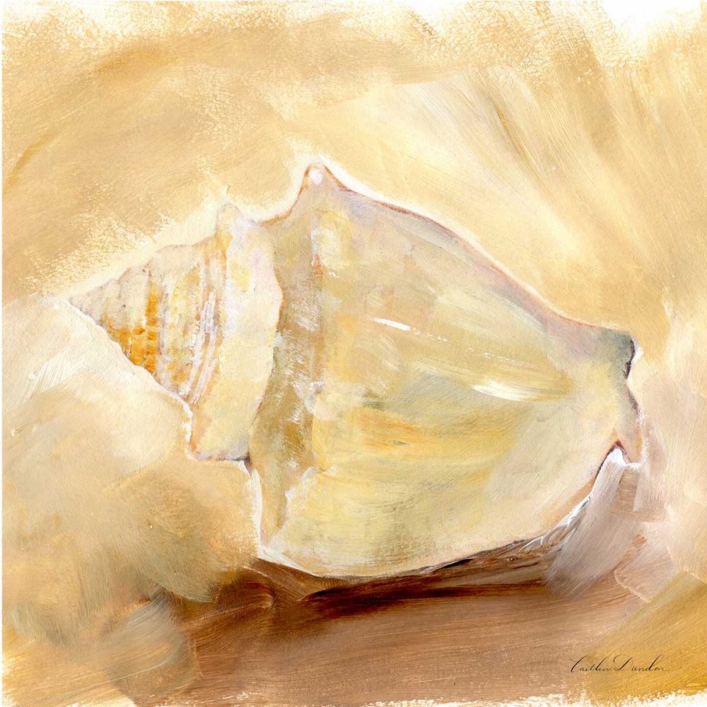 Painted Seashells I  art print by Caitlin Dundon for $57.95 CAD