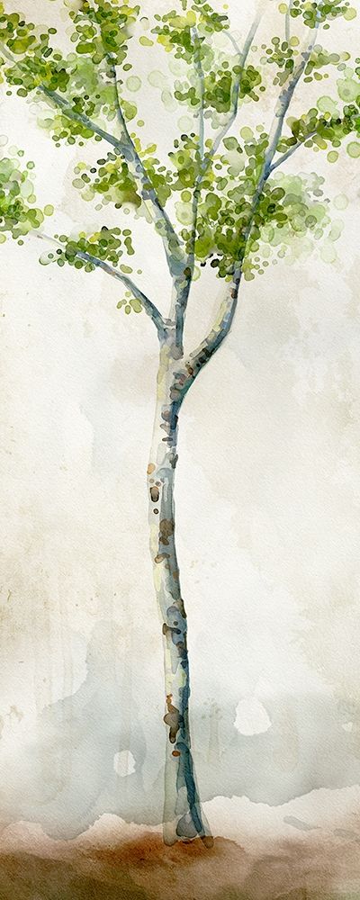 Watercolor Birch Trees II art print by Vittorio Milan for $57.95 CAD