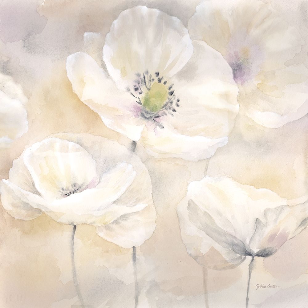 White Poppies I art print by Cynthia Coulter for $57.95 CAD