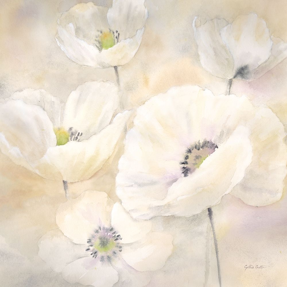 White Poppies II   art print by Cynthia Coulter for $57.95 CAD