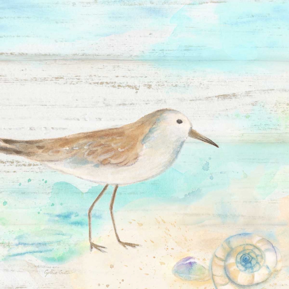 Sandpiper Beach III art print by Cynthia Coulter for $57.95 CAD