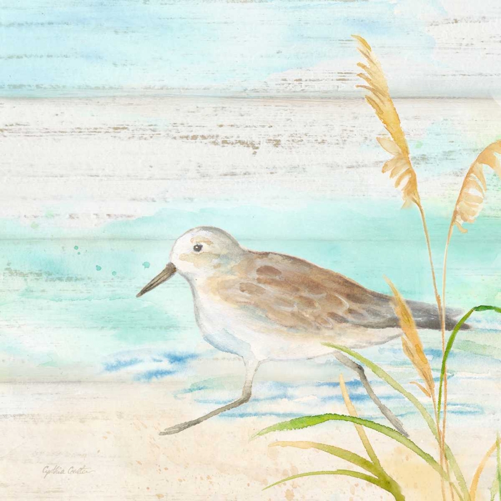 Sandpiper Beach IV art print by Cynthia Coulter for $57.95 CAD