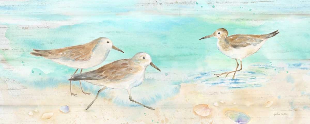 Sandpiper Beach Panel art print by Cynthia Coulter for $57.95 CAD