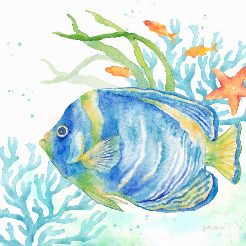 Sea Life Serenade I art print by Cynthia Coulter for $57.95 CAD