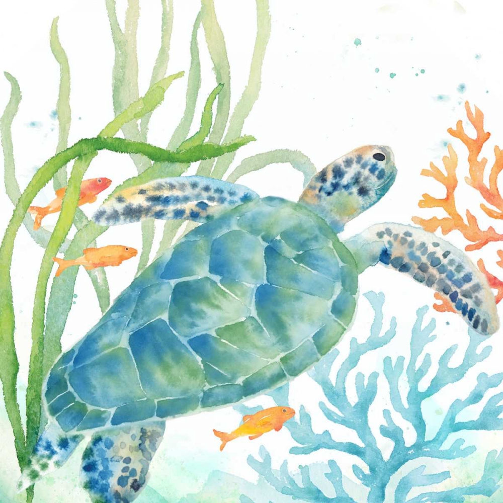 Sea Life Serenade IV art print by Cynthia Coulter for $57.95 CAD