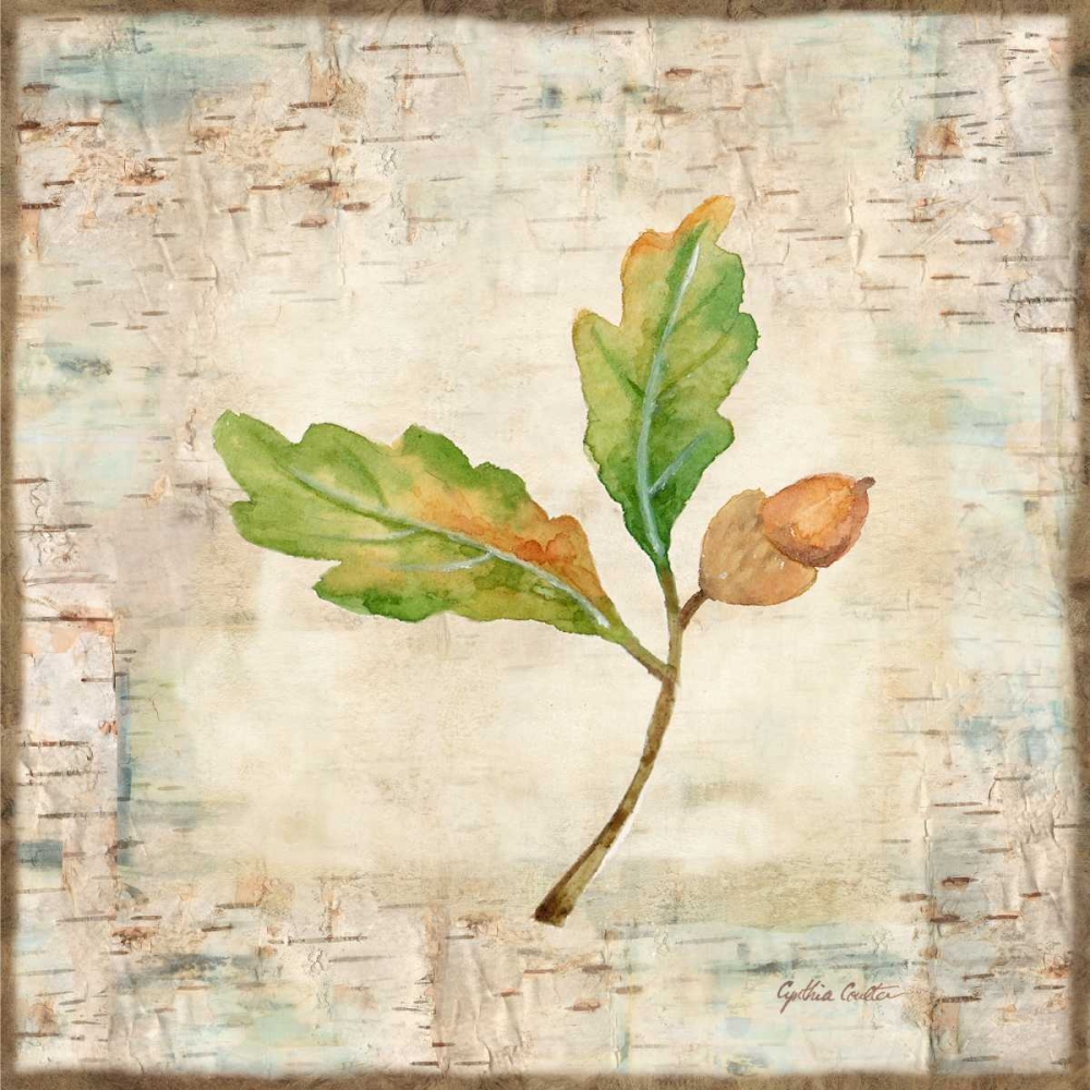 Nature Walk Leaves II art print by Cynthia Coulter for $57.95 CAD