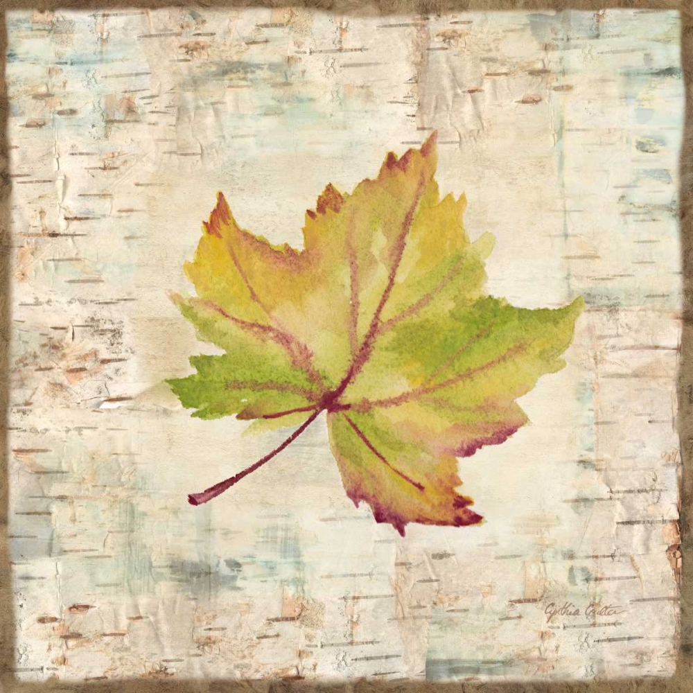 Nature Walk Leaves III art print by Cynthia Coulter for $57.95 CAD