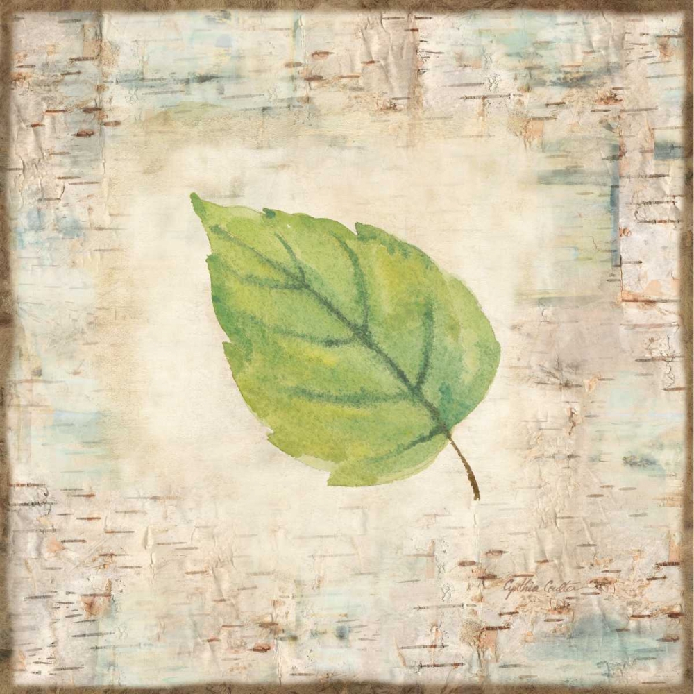 Nature Walk Leaves IV art print by Cynthia Coulter for $57.95 CAD