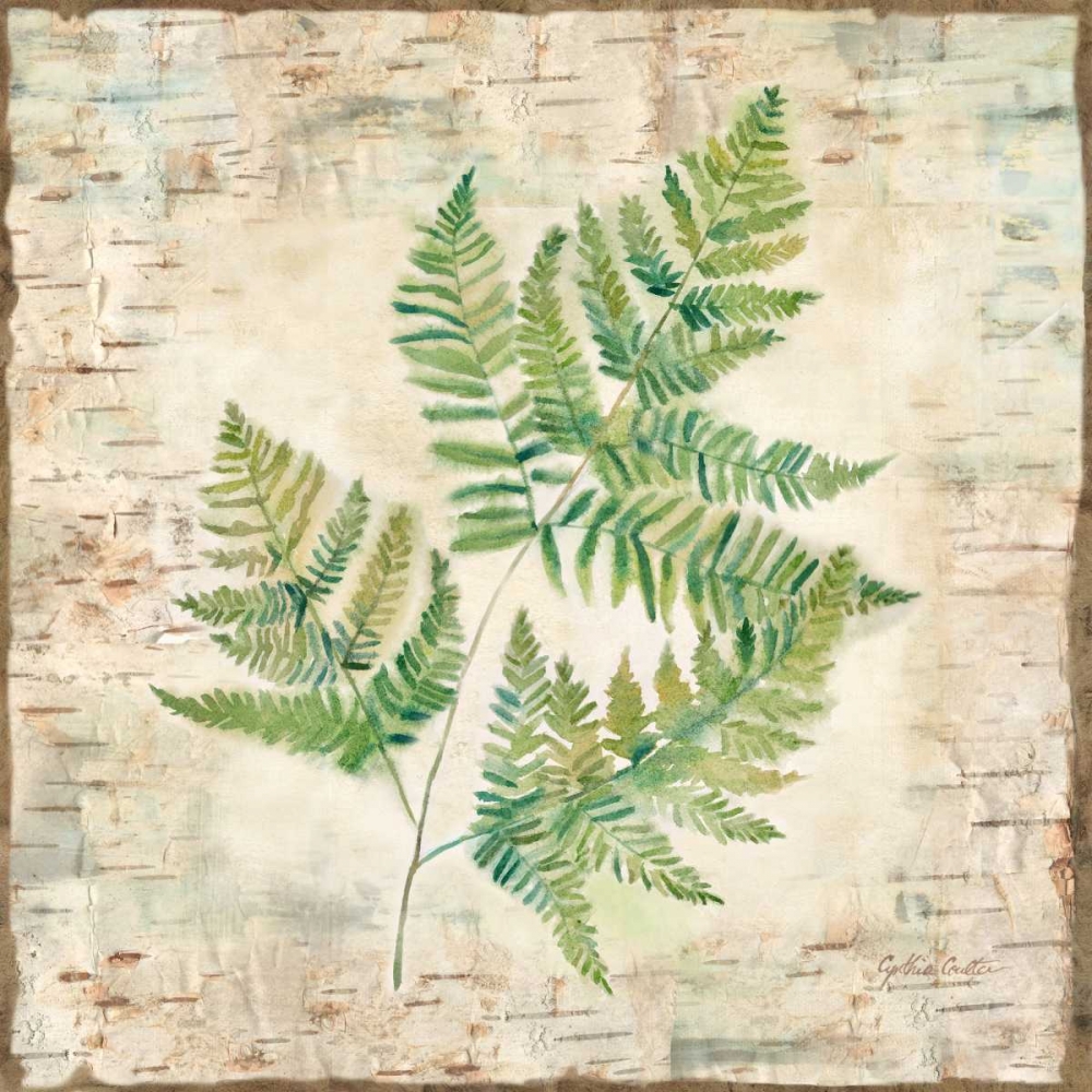 Birch Bark Ferns I art print by Cynthia Coulter for $57.95 CAD