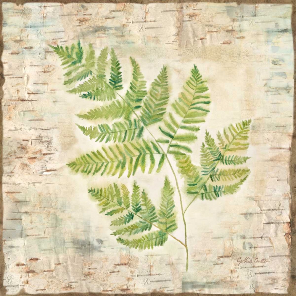 Birch Bark Ferns II art print by Cynthia Coulter for $57.95 CAD