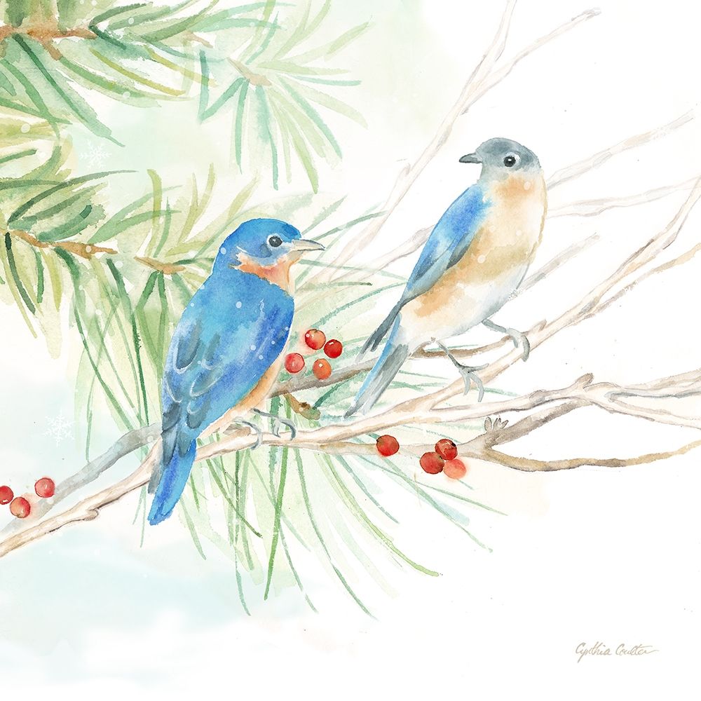 Winter Birds III Bluebirds art print by Cynthia Coulter for $57.95 CAD
