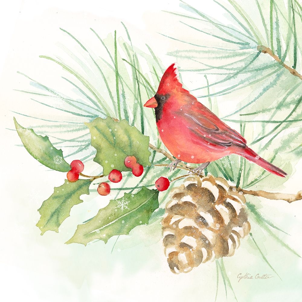 Winter Birds IV Cardinal art print by Cynthia Coulter for $57.95 CAD