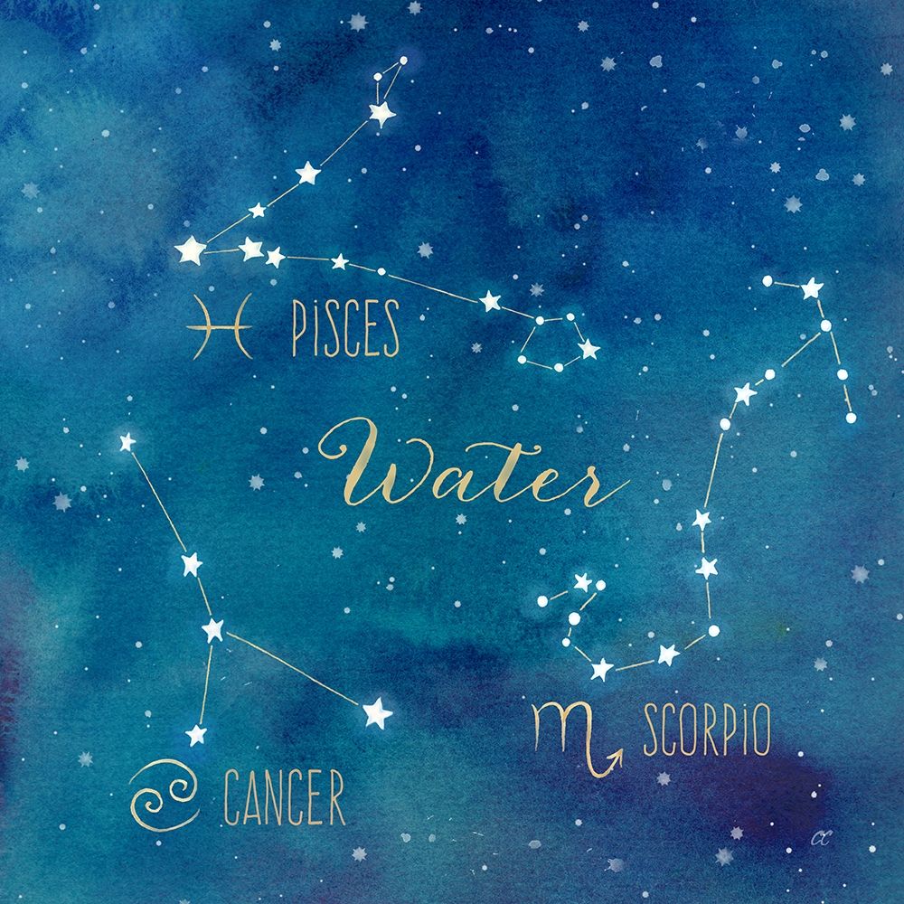Star Sign Water art print by Cynthia Coulter for $57.95 CAD