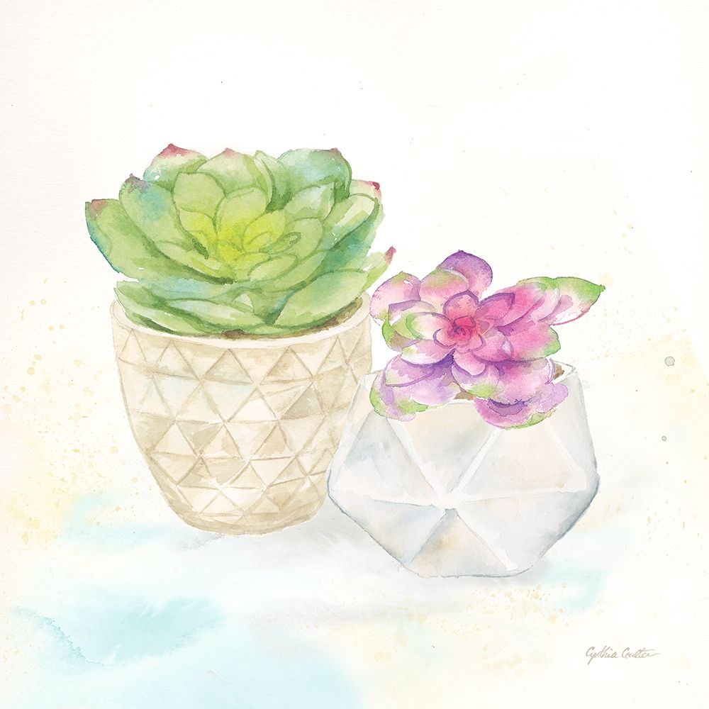 Sweet Succulent Pots III art print by Cynthia Coulter for $57.95 CAD