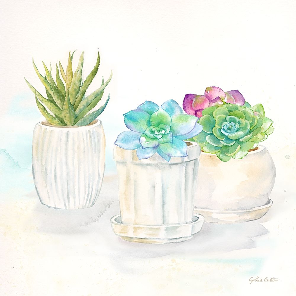 Sweet Succulent Pots IV art print by Cynthia Coulter for $57.95 CAD