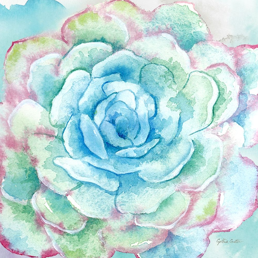 Sweet Succulents I art print by Cynthia Coulter for $57.95 CAD