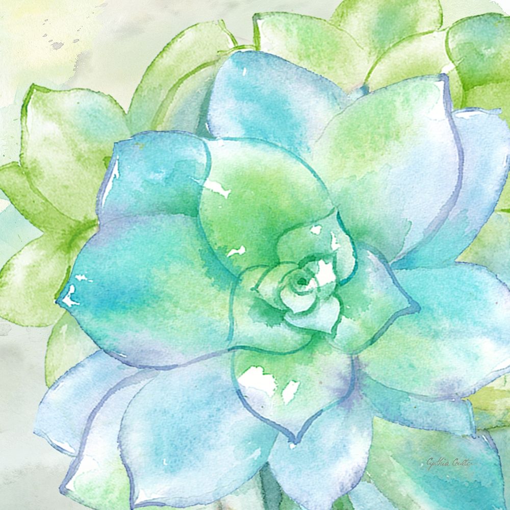 Sweet Succulents II art print by Cynthia Coulter for $57.95 CAD