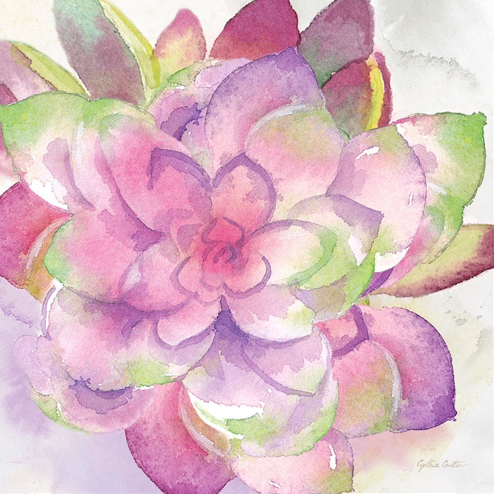 Sweet Succulents III art print by Cynthia Coulter for $57.95 CAD