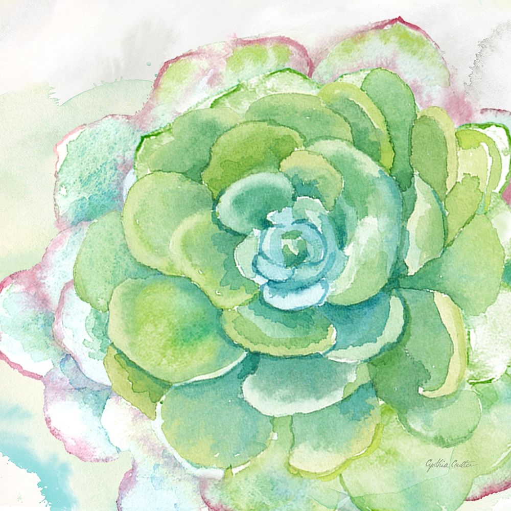 Sweet Succulents IV art print by Cynthia Coulter for $57.95 CAD