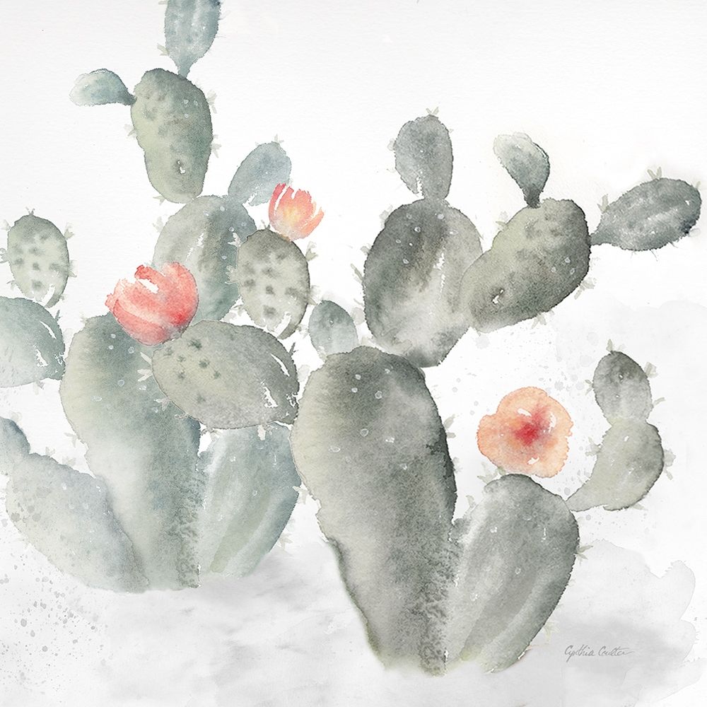 Cactus Garden Gray Blush III art print by Cynthia Coulter for $57.95 CAD
