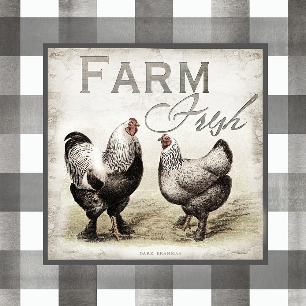 Buffalo Check Farm House Chickens Neutral II art print by Tre Sorelle Studios for $57.95 CAD