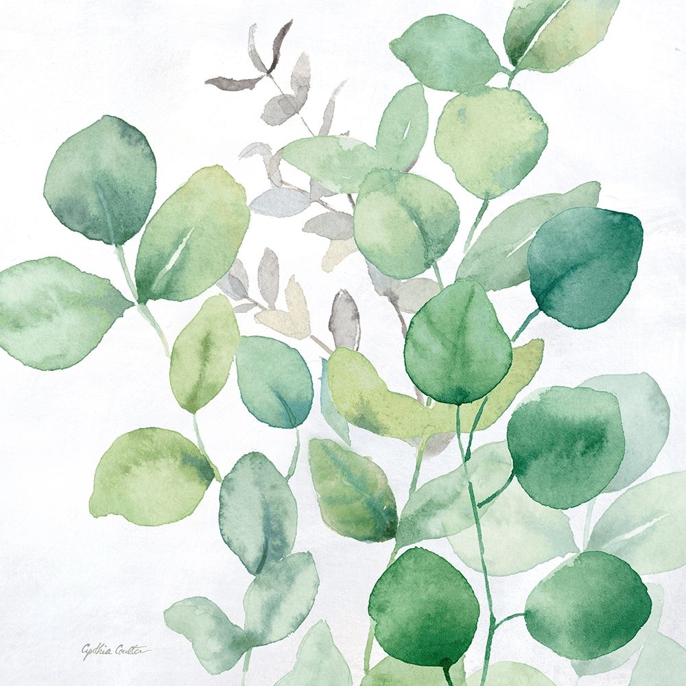 Eucalyptus Leaves I art print by Cynthia Coulter for $57.95 CAD