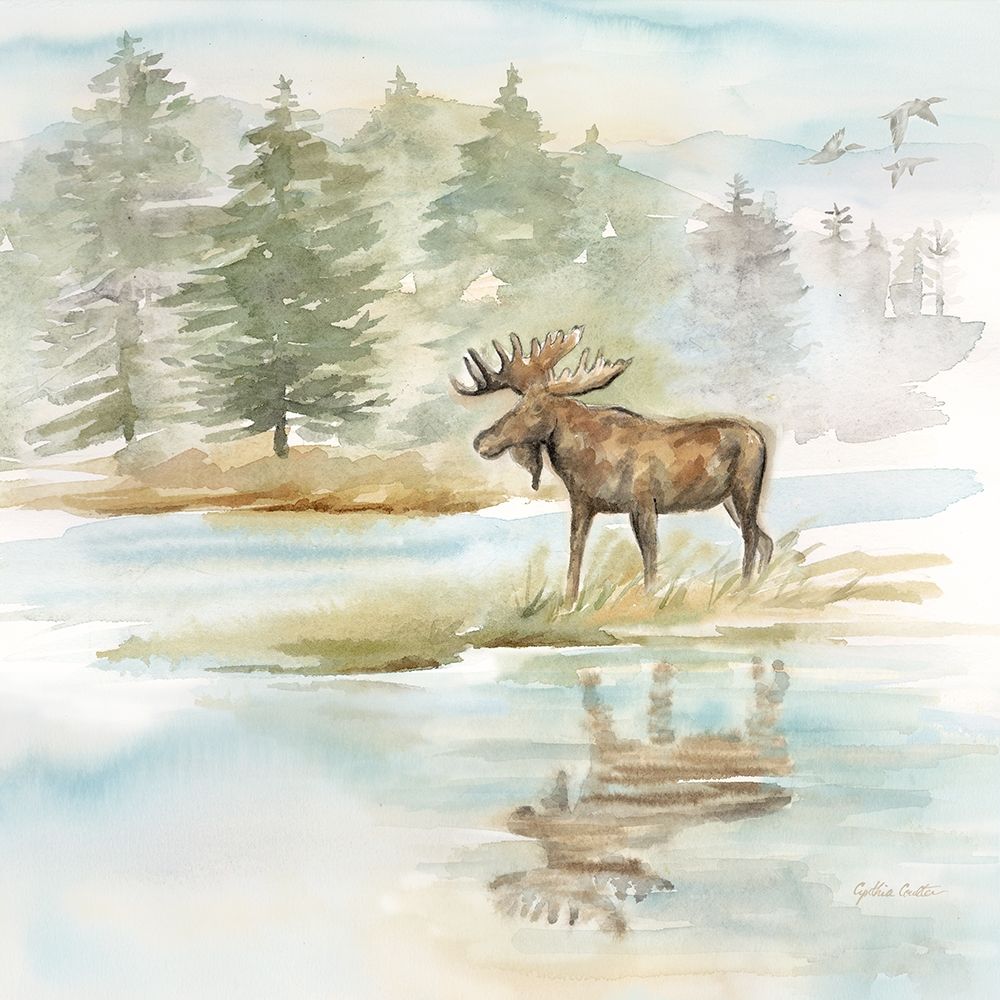Woodland Reflections II-Moose art print by Cynthia Coulter for $57.95 CAD