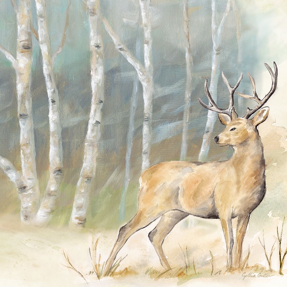 Woodland Reflections III-Deer art print by Cynthia Coulter for $57.95 CAD