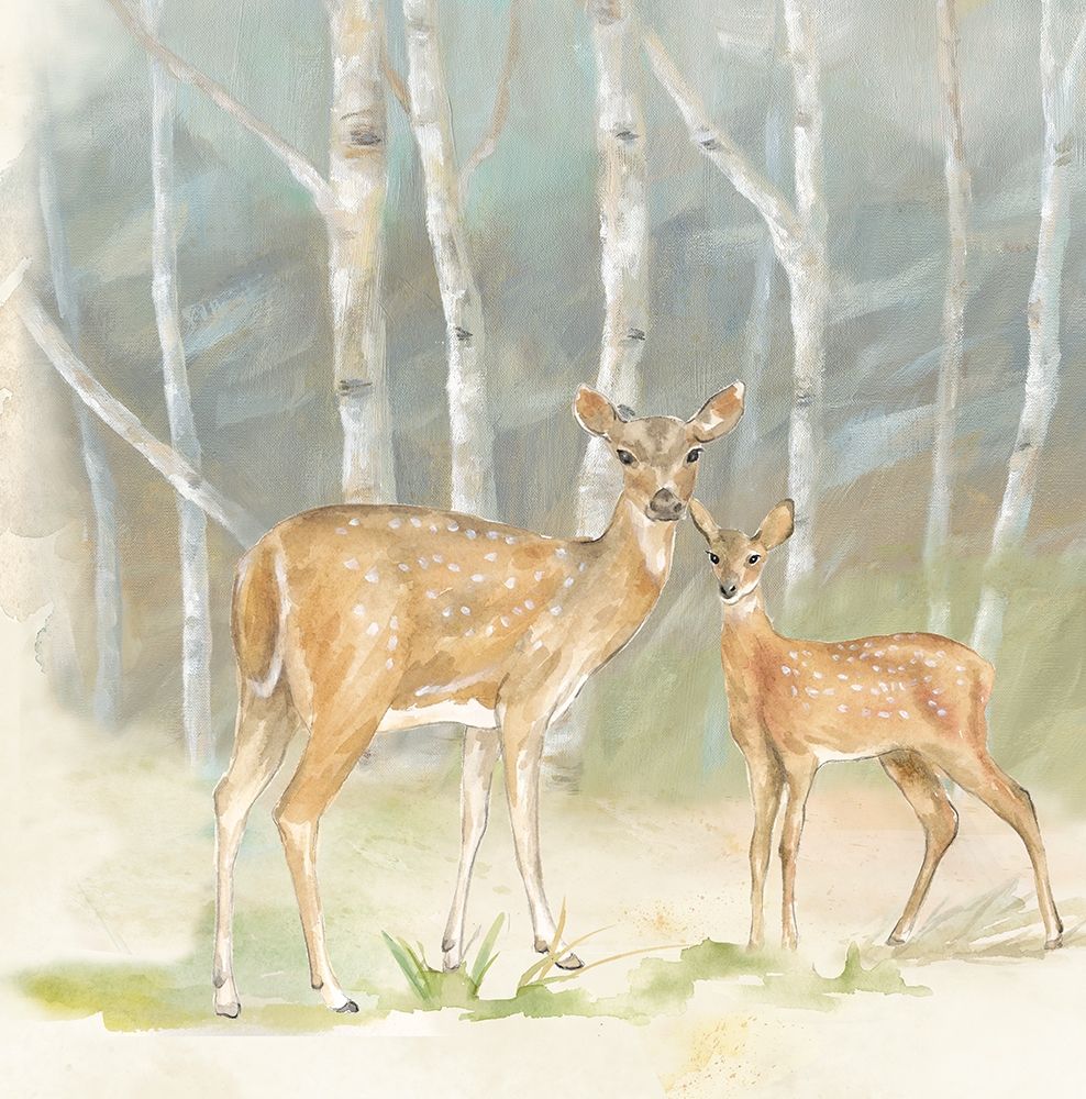 Woodland Reflections IV-Doe art print by Cynthia Coulter for $57.95 CAD