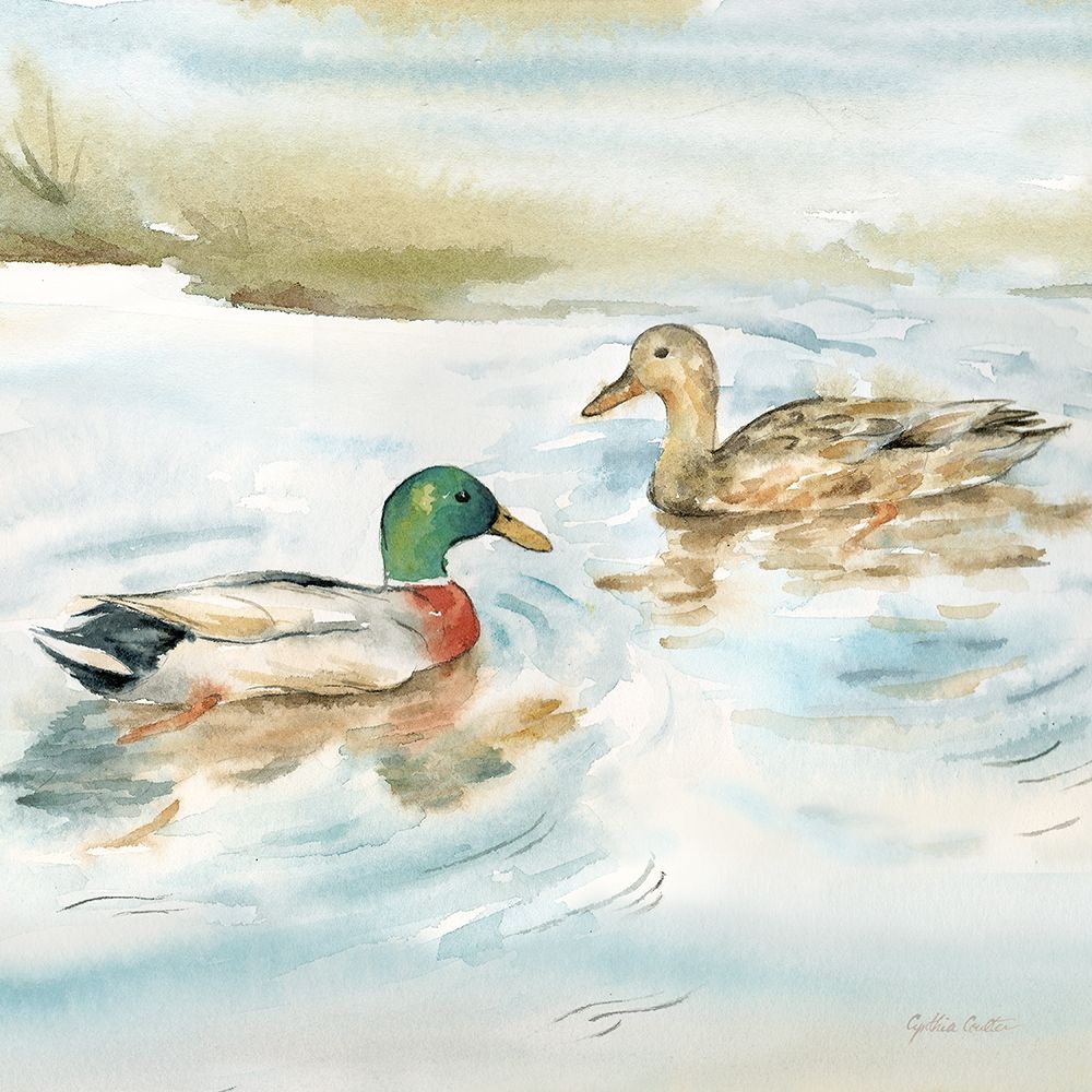 Woodland Reflections V-Mallards art print by Cynthia Coulter for $57.95 CAD
