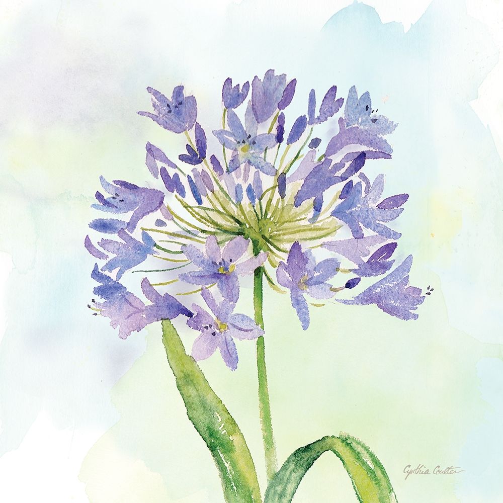 Wildflower Single II art print by Cynthia Coulter for $57.95 CAD