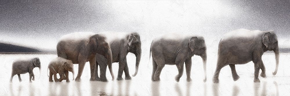 Elephant  Mirage art print by Noah Bay for $57.95 CAD