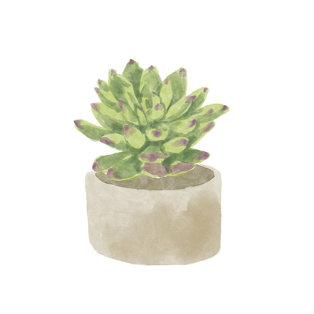 Simple Succulent III art print by Bannarot for $57.95 CAD