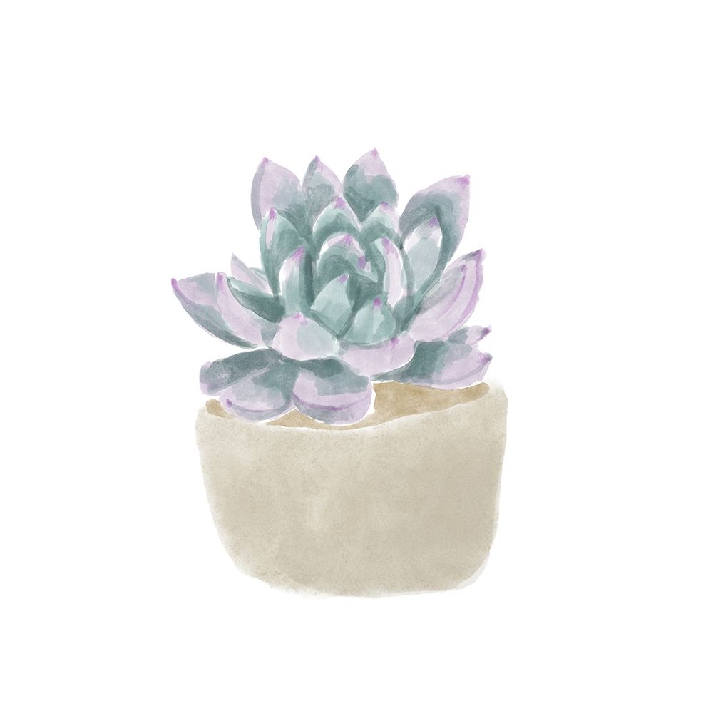 Simple Succulent IV art print by Bannarot for $57.95 CAD