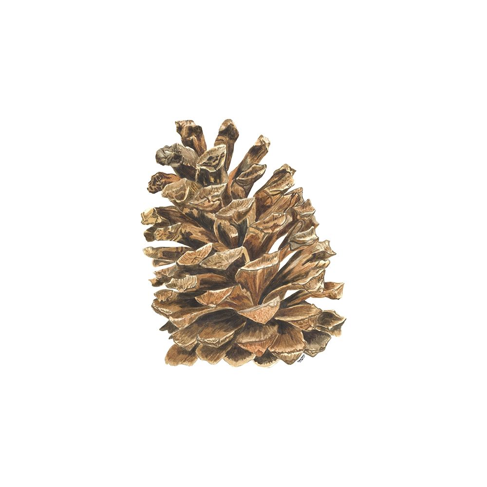 Home for the Holidays icon VIII-Pinecone 2 art print by Tara Reed for $57.95 CAD