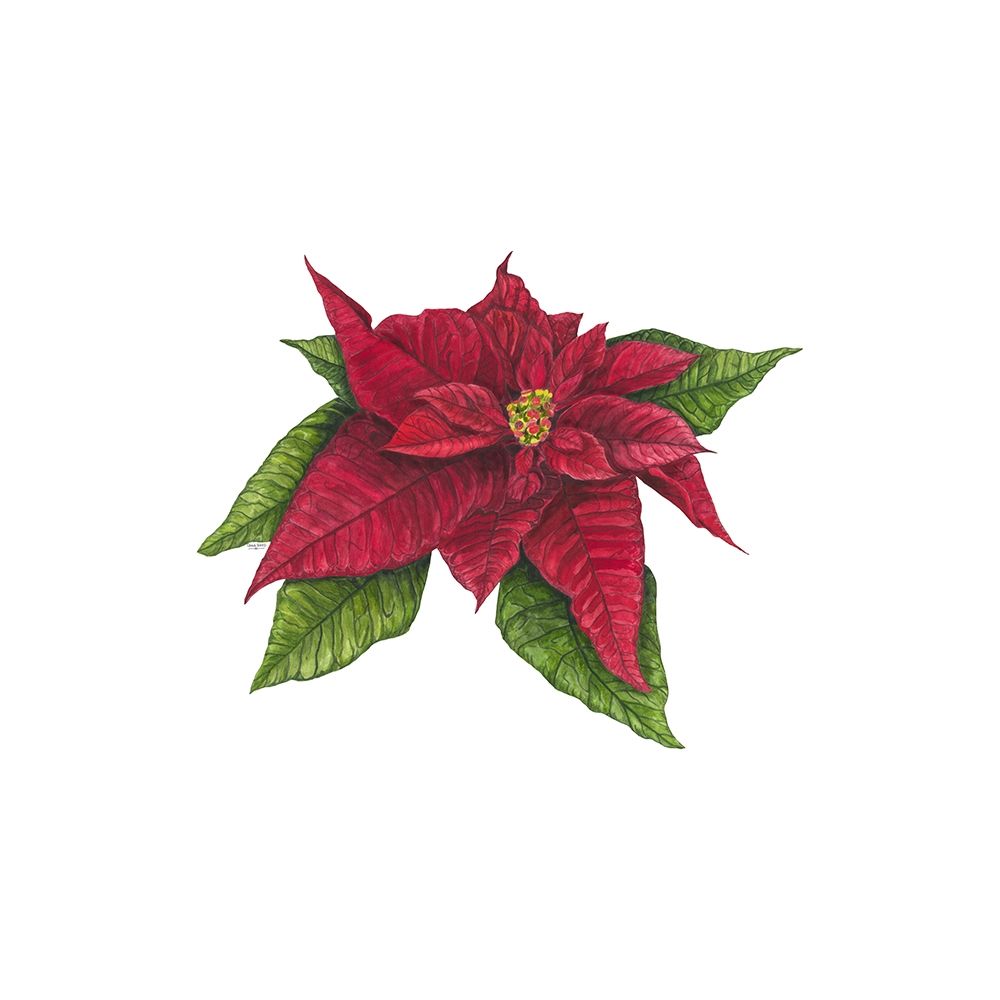Home for the Holidays icon X-Poinsetta 1 art print by Tara Reed for $57.95 CAD