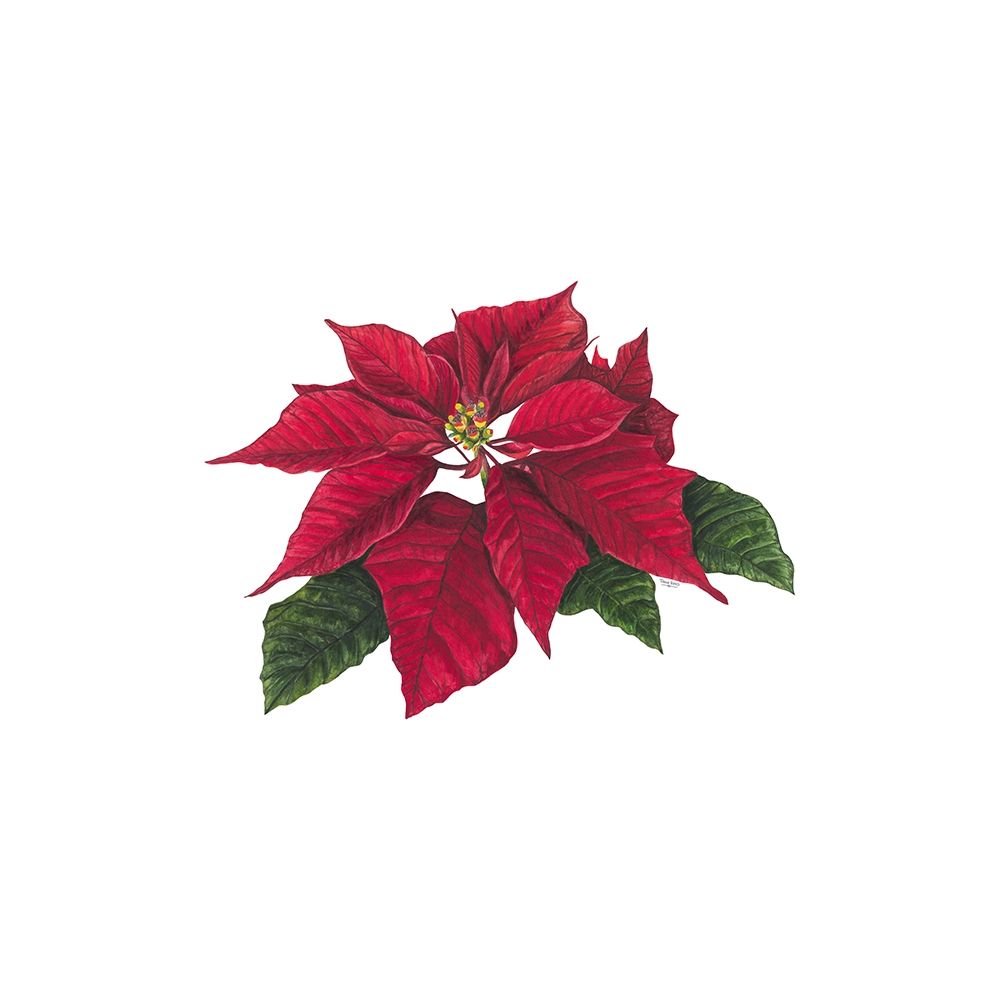 Home for the Holidays icon XI-Poinsetta 2 art print by Tara Reed for $57.95 CAD