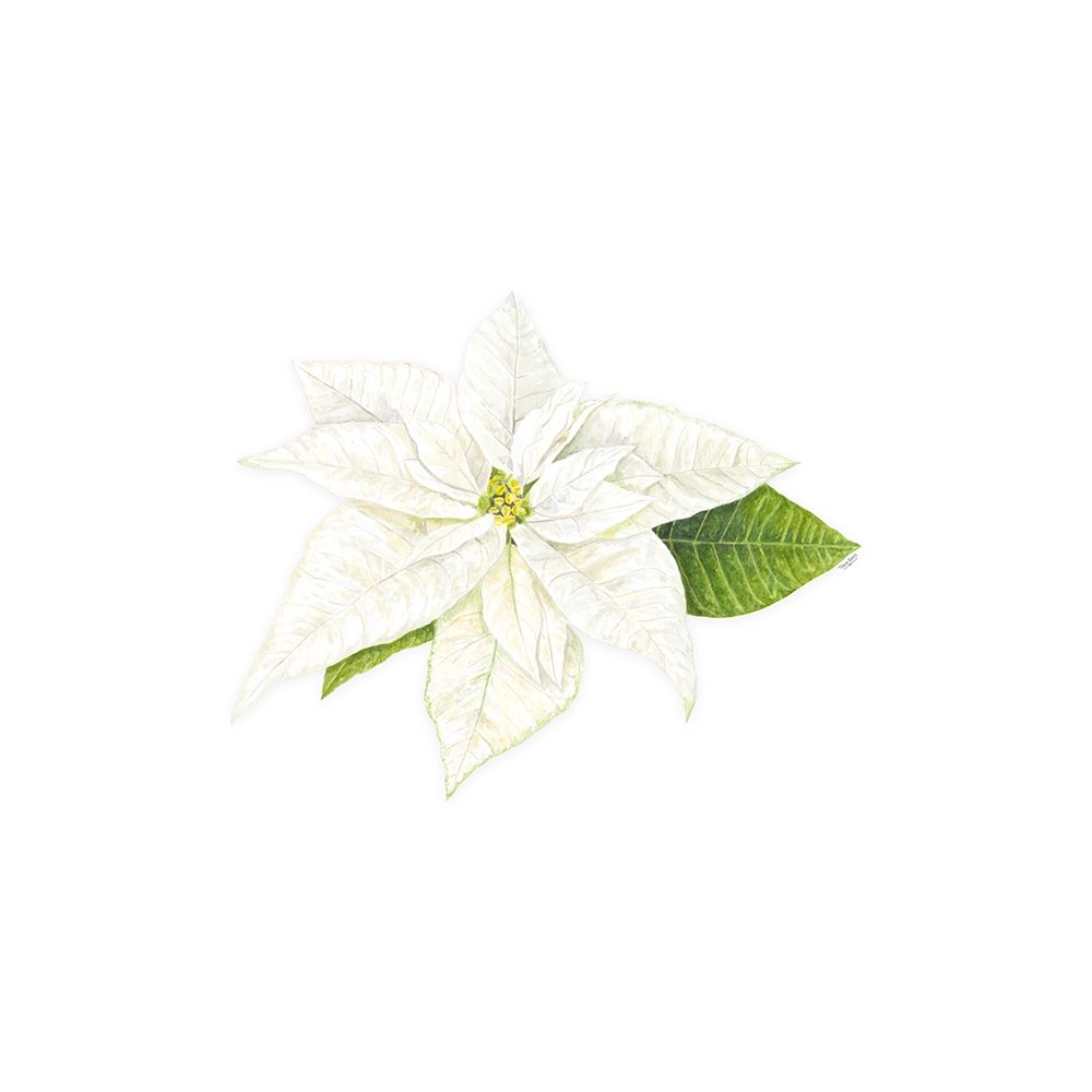 Home for the Holidays icon XIII-White Poinsetta 1 art print by Tara Reed for $57.95 CAD
